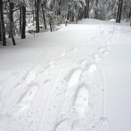 Little In Winterberg-neuastenberg