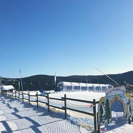 Little In Winterberg-neuastenberg Apartmán Winterberg