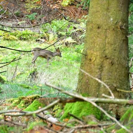 Little In Winterberg-neuastenberg Apartmán Winterberg