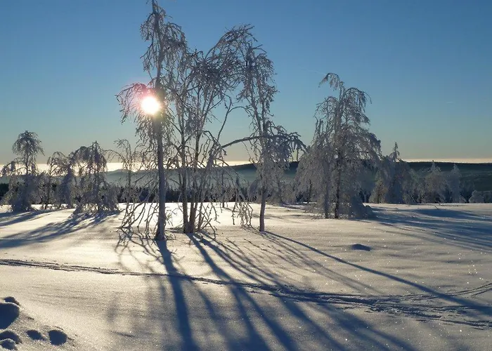 Little In Winterberg-neuastenberg Lägenhet Winterberg