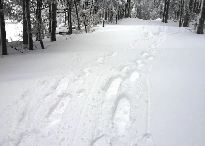 Little In Winterberg-neuastenberg