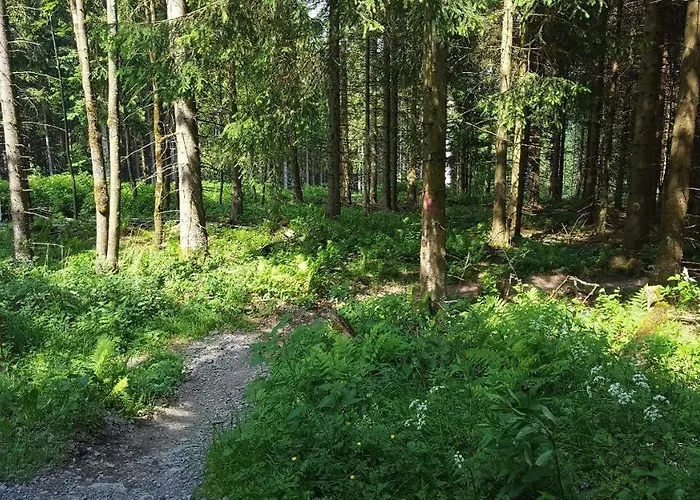 Little In Winterberg-neuastenberg * Winterberg