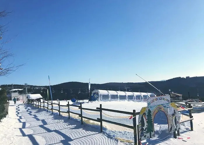 Little In Winterberg-neuastenberg Lägenhet Winterberg